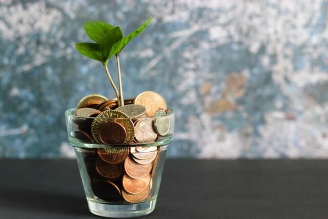 micheile-henderson-ZVprbBmT8QA-unsplash-1 A photo of a small money tree inside a jar of pennies