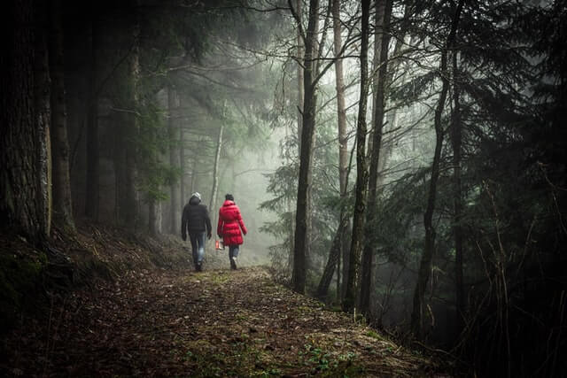 sebastian-pichler-sblp4evk2gs-unsplash-1 photo of a couple walking in a forest, she wears a red jacket, the fog is in front of them top tips on how to avoid wedding planning stress