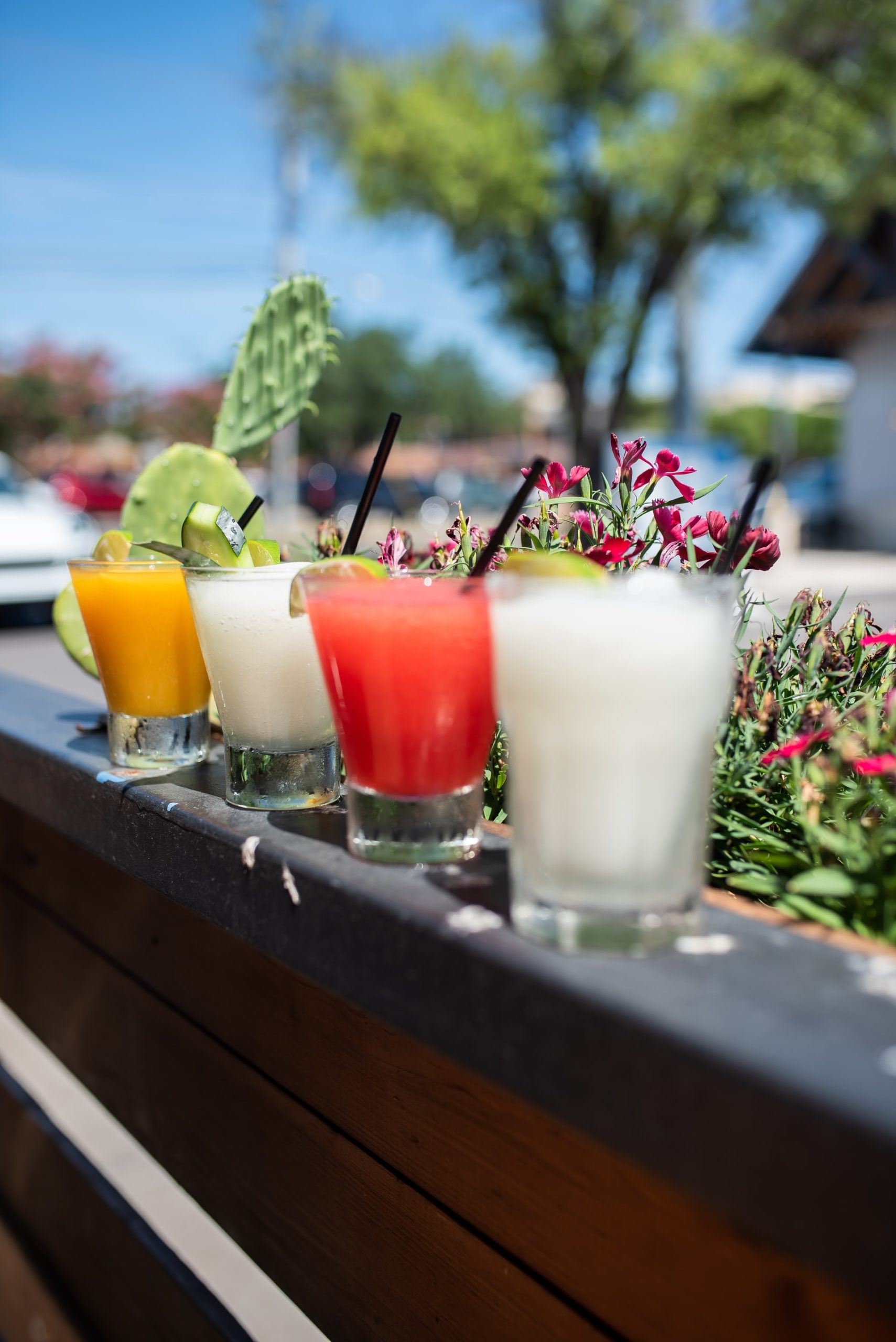 jordan-nix-J5wrhsSPN9o-unsplash how to keep your guests cool in summer a line of brightly coloured cocktails with the celebrant angel