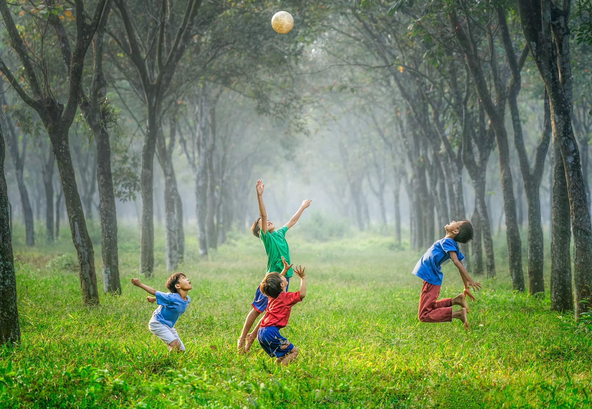 robert-collins-tvc5imO5pXk-unsplash garden path with wild flowers on each side family and naming ceremonies in aberdeen