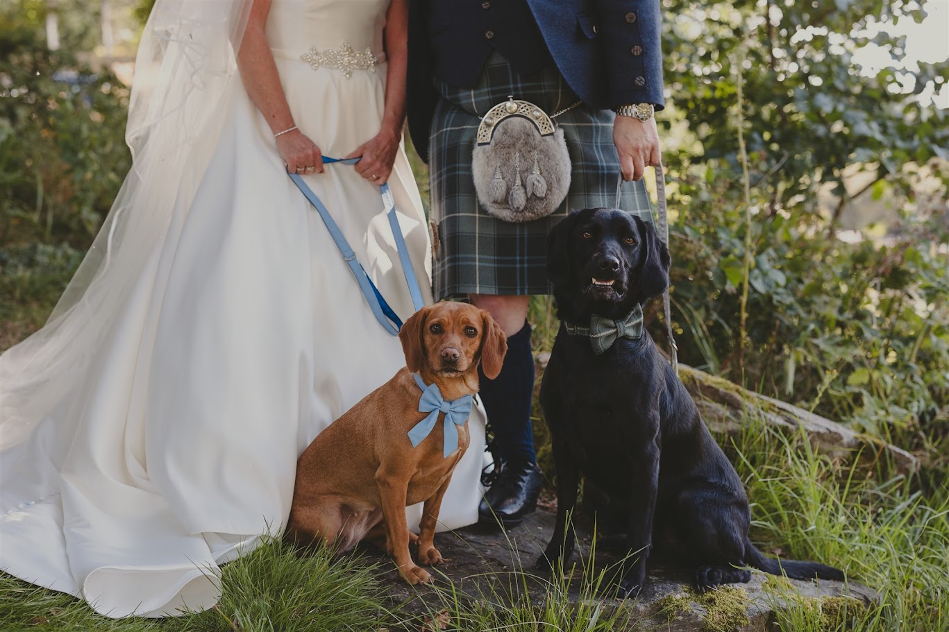 jen and craig how to include your pet in your ceremony with mary gibson the celebrant angel aberdeen