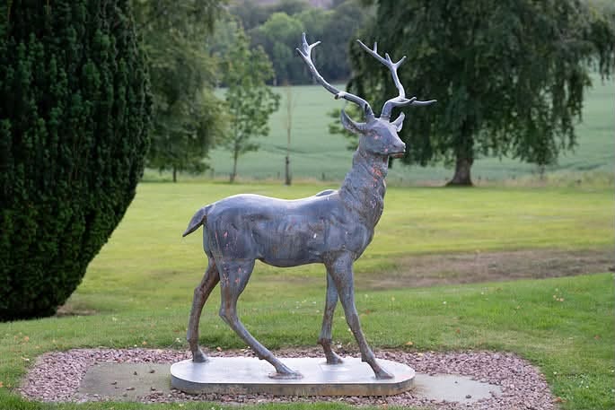 a photo of the stag at Pittodrie House Hotel a wedding venue in Aberdeenshire
